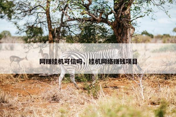 网赚挂机可信吗，挂机网络赚钱项目