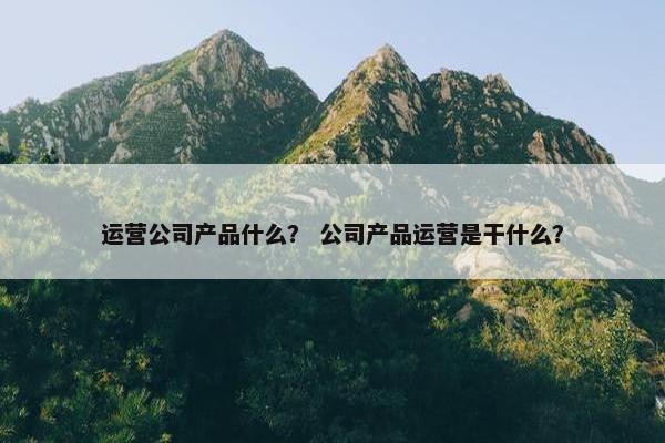 运营公司产品什么？ 公司产品运营是干什么？