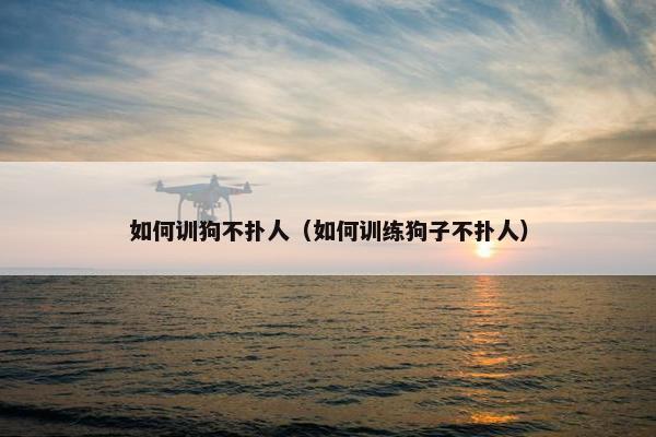 如何训狗不扑人（如何训练狗子不扑人）