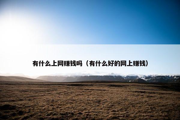 有什么上网赚钱吗（有什么好的网上赚钱）