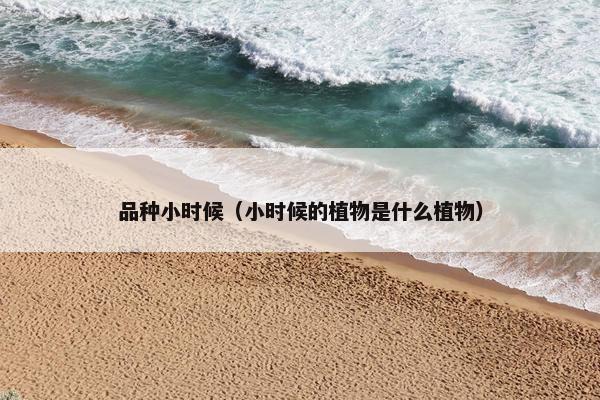 品种小时候（小时候的植物是什么植物）