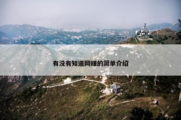 有没有知道网赚的简单介绍