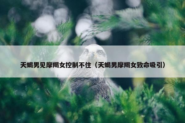 天蝎男见摩羯女控制不住（天蝎男摩羯女致命吸引）
