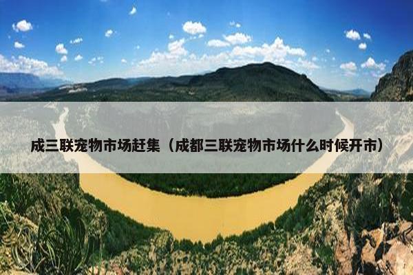 成三联宠物市场赶集（成都三联宠物市场什么时候开市）