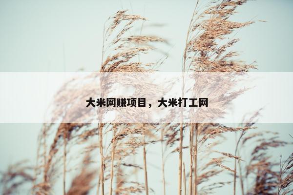 大米网赚项目，大米打工网