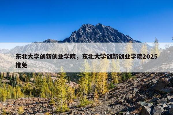 东北大学创新创业学院，东北大学创新创业学院2025推免