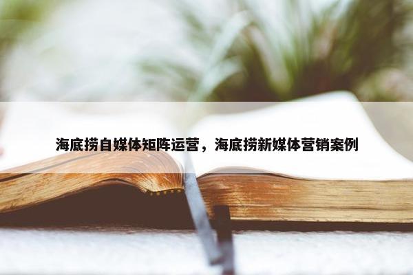 海底捞自媒体矩阵运营，海底捞新媒体营销案例