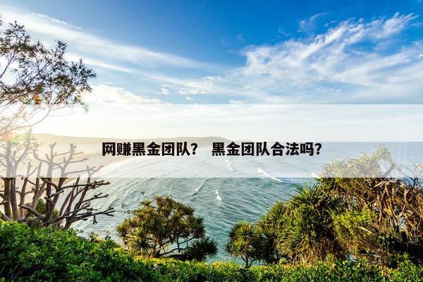 网赚黑金团队？ 黑金团队合法吗？
