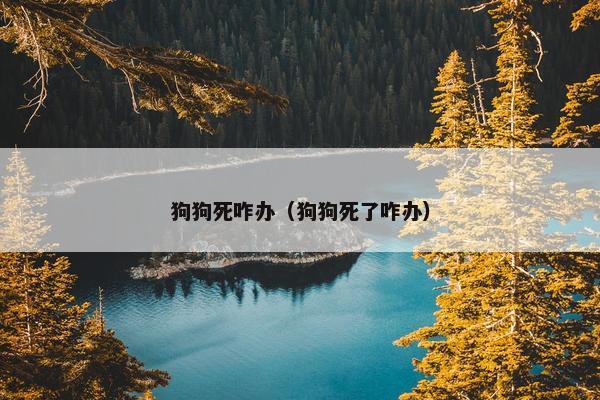 狗狗死咋办（狗狗死了咋办）