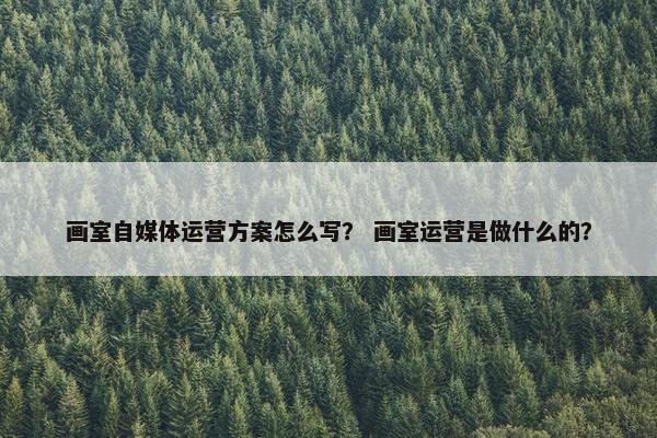 画室自媒体运营方案怎么写？ 画室运营是做什么的？