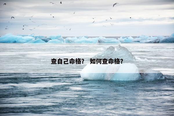 查自己命格？ 如何查命格？