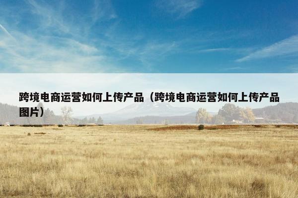 跨境电商运营如何上传产品（跨境电商运营如何上传产品图片）