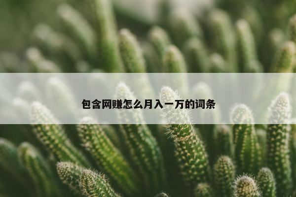 包含网赚怎么月入一万的词条