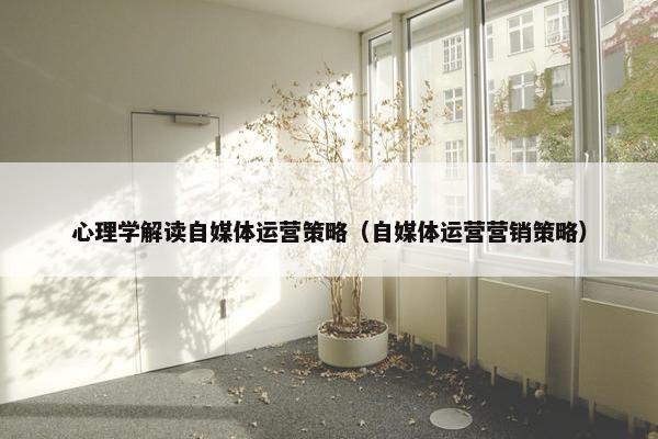 心理学解读自媒体运营策略（自媒体运营营销策略）