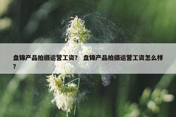 盘锦产品拍摄运营工资？ 盘锦产品拍摄运营工资怎么样？
