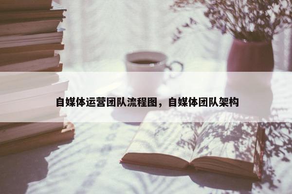 自媒体运营团队流程图，自媒体团队架构