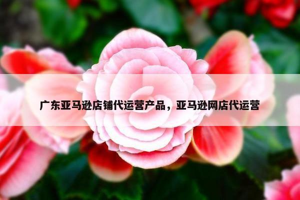 广东亚马逊店铺代运营产品，亚马逊网店代运营