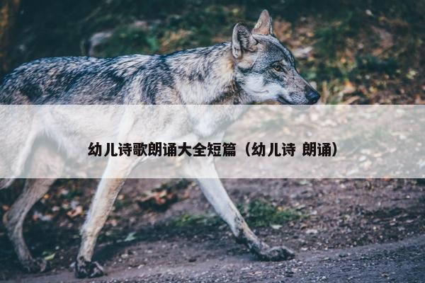 幼儿诗歌朗诵大全短篇（幼儿诗 朗诵）