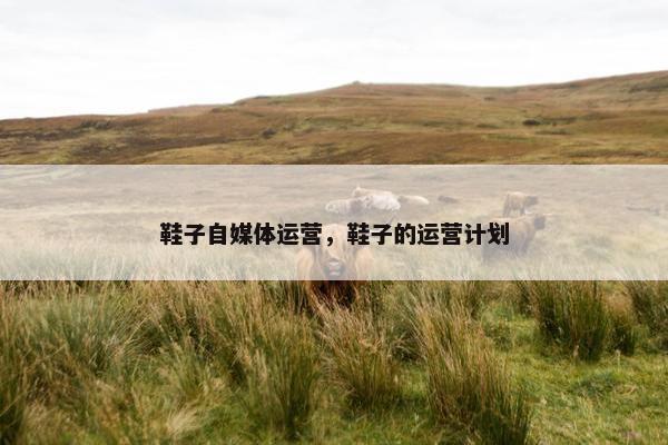 鞋子自媒体运营，鞋子的运营计划