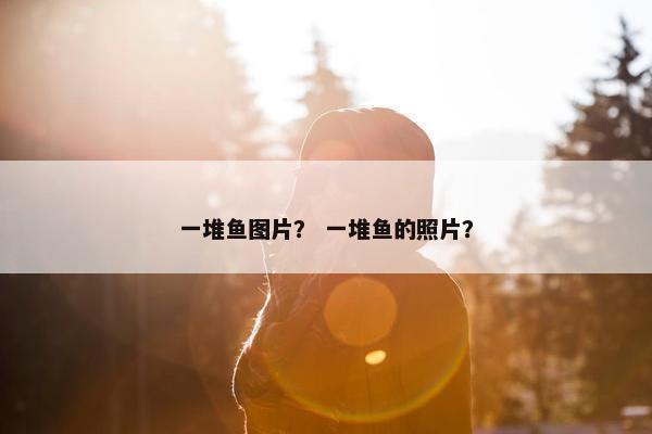 一堆鱼图片？ 一堆鱼的照片？