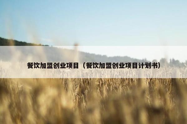 餐饮加盟创业项目（餐饮加盟创业项目计划书）