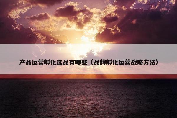 产品运营孵化选品有哪些（品牌孵化运营战略方法）