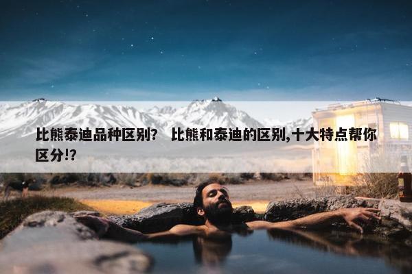 比熊泰迪品种区别？ 比熊和泰迪的区别,十大特点帮你区分!？
