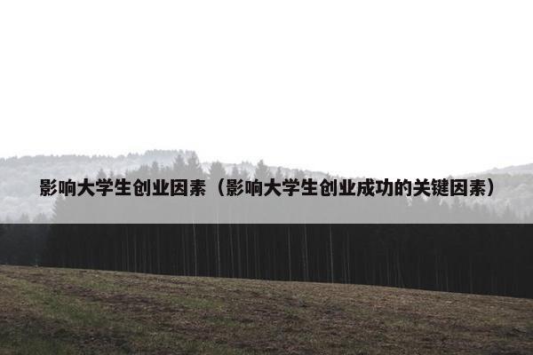 影响大学生创业因素（影响大学生创业成功的关键因素）