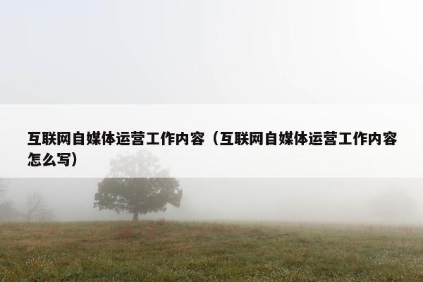 互联网自媒体运营工作内容（互联网自媒体运营工作内容怎么写）