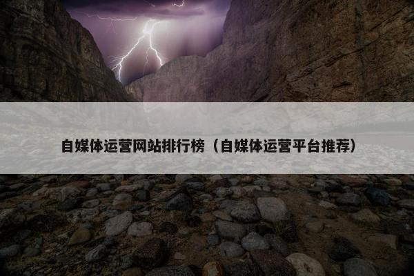 自媒体运营网站排行榜（自媒体运营平台推荐）