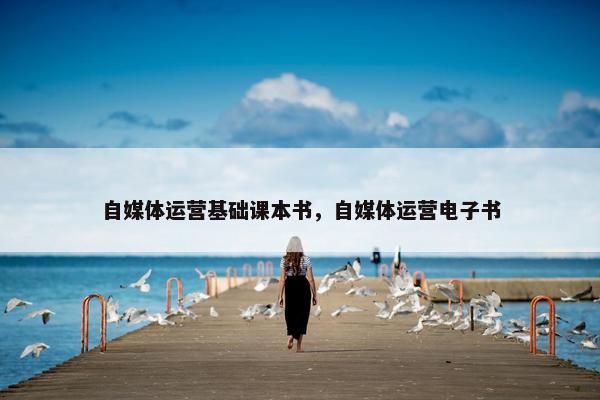 自媒体运营基础课本书，自媒体运营电子书