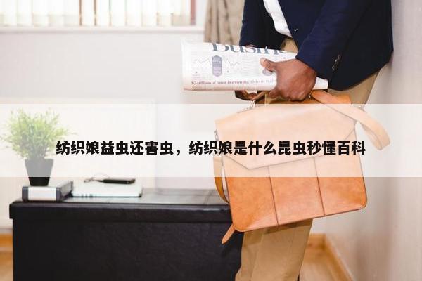 纺织娘益虫还害虫，纺织娘是什么昆虫秒懂百科