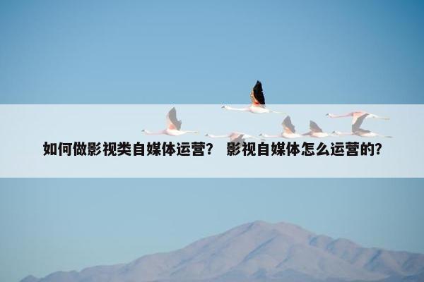 如何做影视类自媒体运营？ 影视自媒体怎么运营的？
