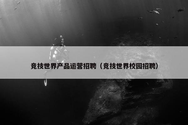 竞技世界产品运营招聘（竞技世界校园招聘）