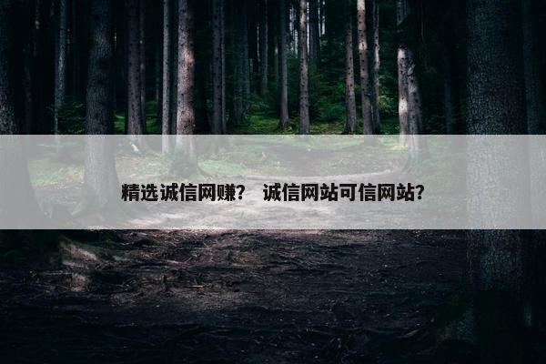 精选诚信网赚？ 诚信网站可信网站？
