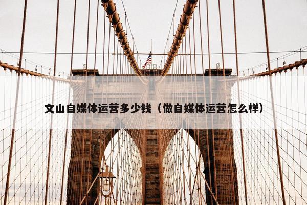 文山自媒体运营多少钱（做自媒体运营怎么样）
