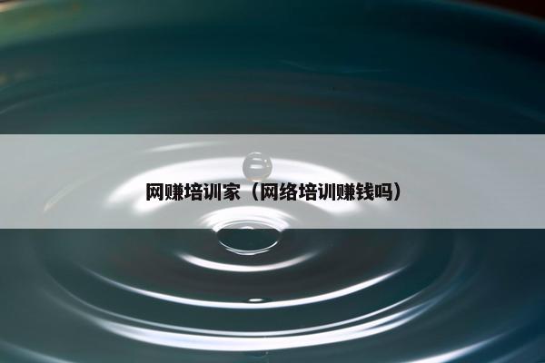 网赚培训家（网络培训赚钱吗）