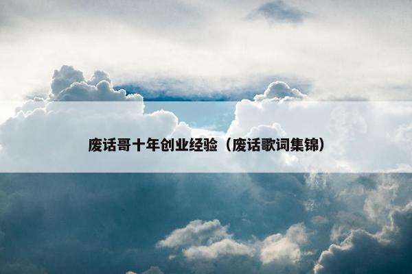 废话哥十年创业经验（废话歌词集锦）