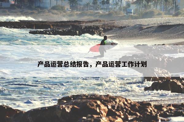 产品运营总结报告，产品运营工作计划