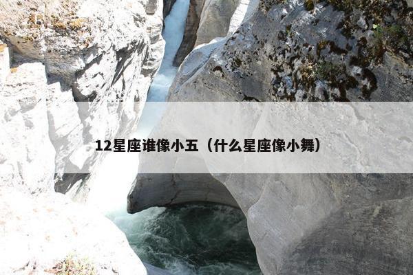 12星座谁像小五（什么星座像小舞）