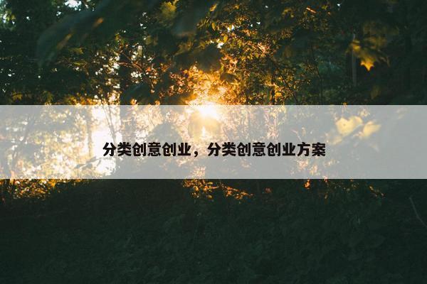 分类创意创业，分类创意创业方案