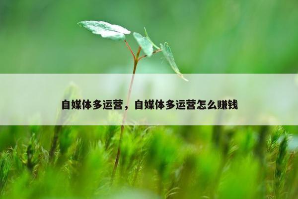 自媒体多运营，自媒体多运营怎么赚钱