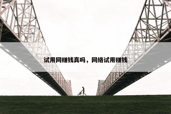 试用网赚钱真吗，网络试用赚钱