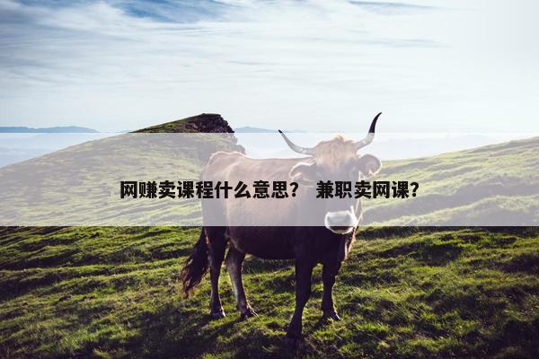 网赚卖课程什么意思？ 兼职卖网课？