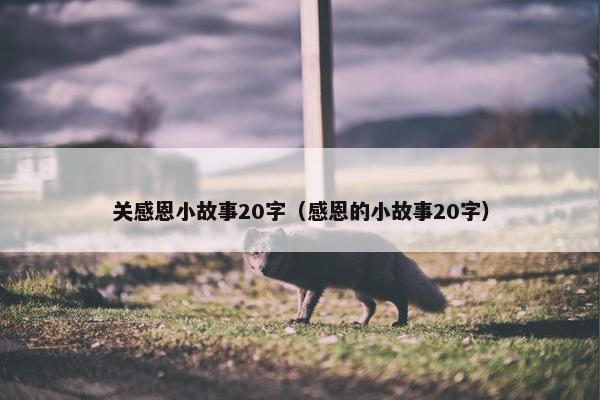 关感恩小故事20字（感恩的小故事20字）