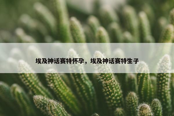 埃及神话赛特怀孕，埃及神话赛特生子