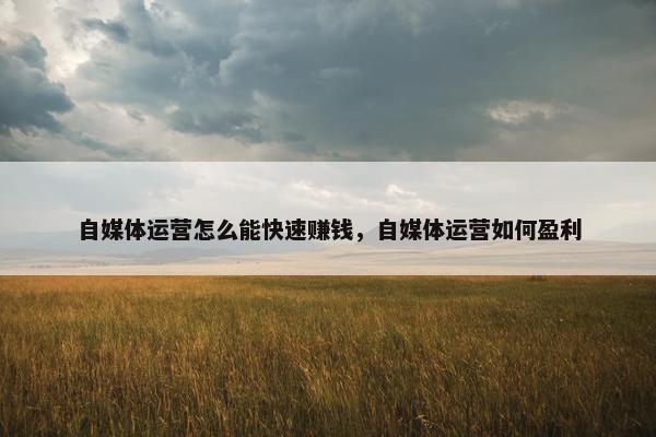 自媒体运营怎么能快速赚钱，自媒体运营如何盈利