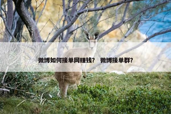 微博如何接单网赚钱？ 微博接单群？