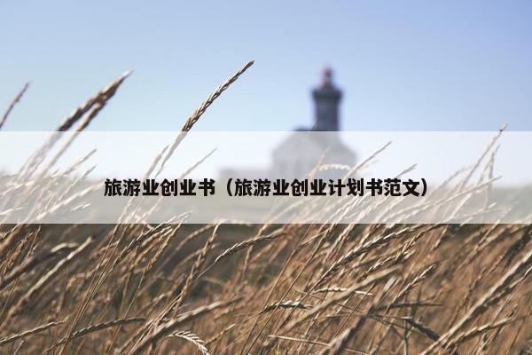 旅游业创业书（旅游业创业计划书范文）