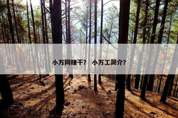 小万网赚干？ 小万工简介？